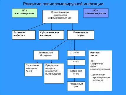 Изменение папилломавирусной инфекции