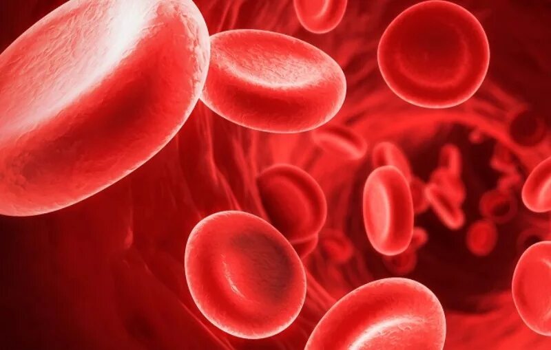 Mch анемия. Эритроциты. Эритроциты в крови. Красные кровяные тельца. 5,3 Эритроцы.