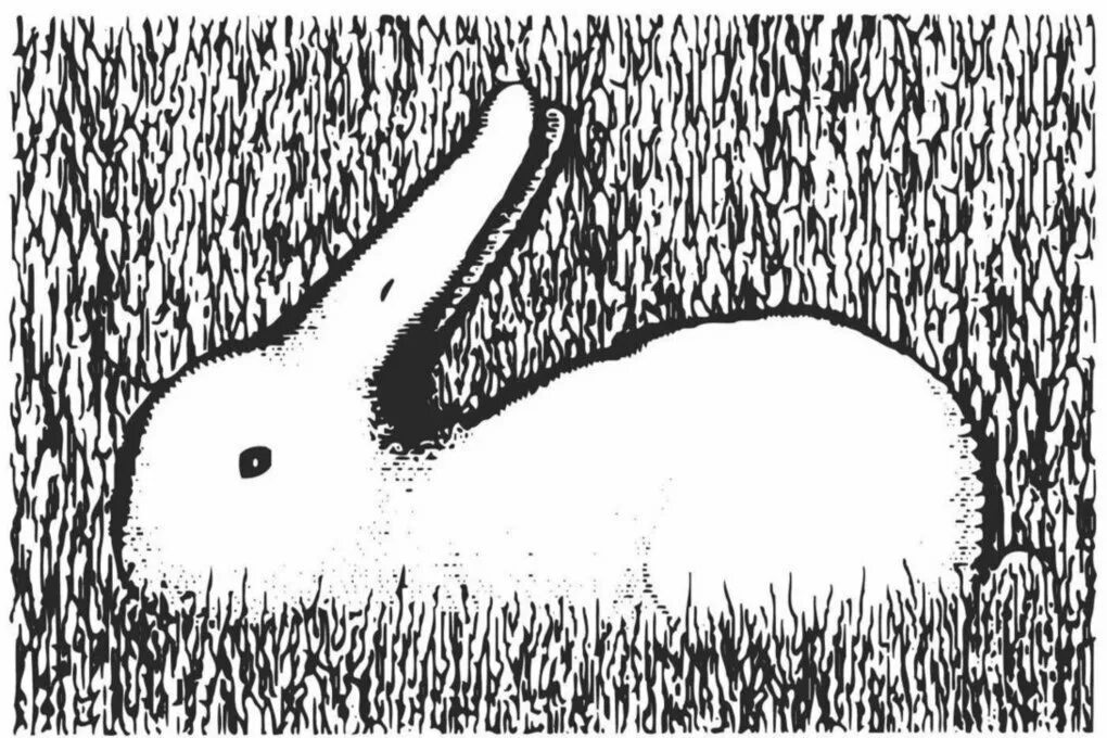 Как первое что она видит. Утка кролик Витгенштейна. Оптические иллюзии для детей. Двойственные изображения для детей. Оптические иллюзии с животными.