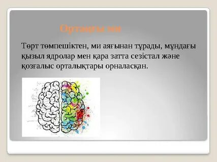 Бишімен порно