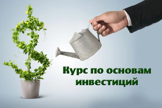 Как инвестировать для начинающих. Как инвестировать для начинающих