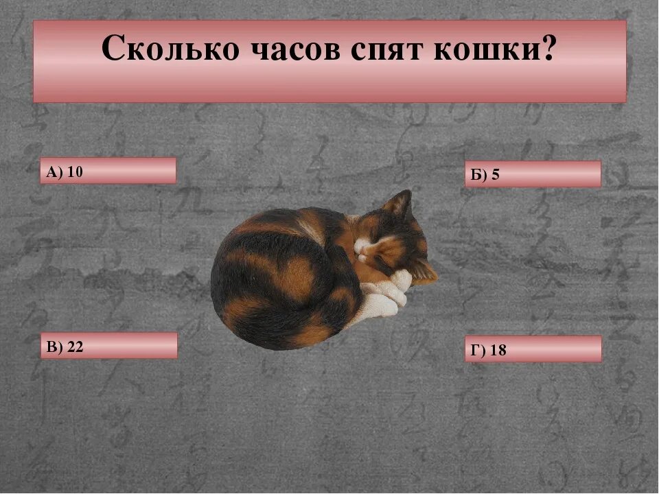 Сколько спят котята в 2. Сколько спят кошки. Сколько часов спят кошки. Сколько должны спать кошки.