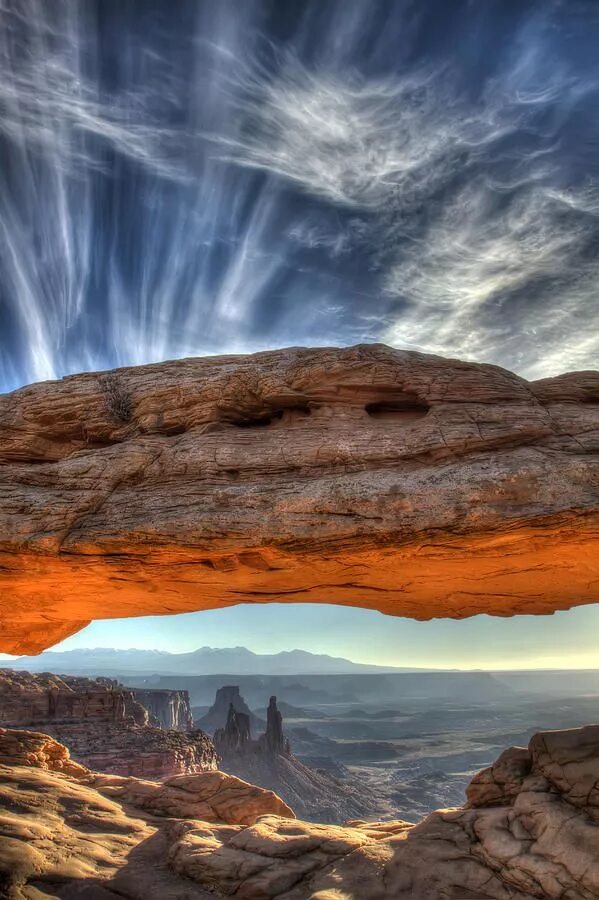 Mesa ark