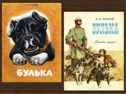 Рассказ льва николаевича толстого булька