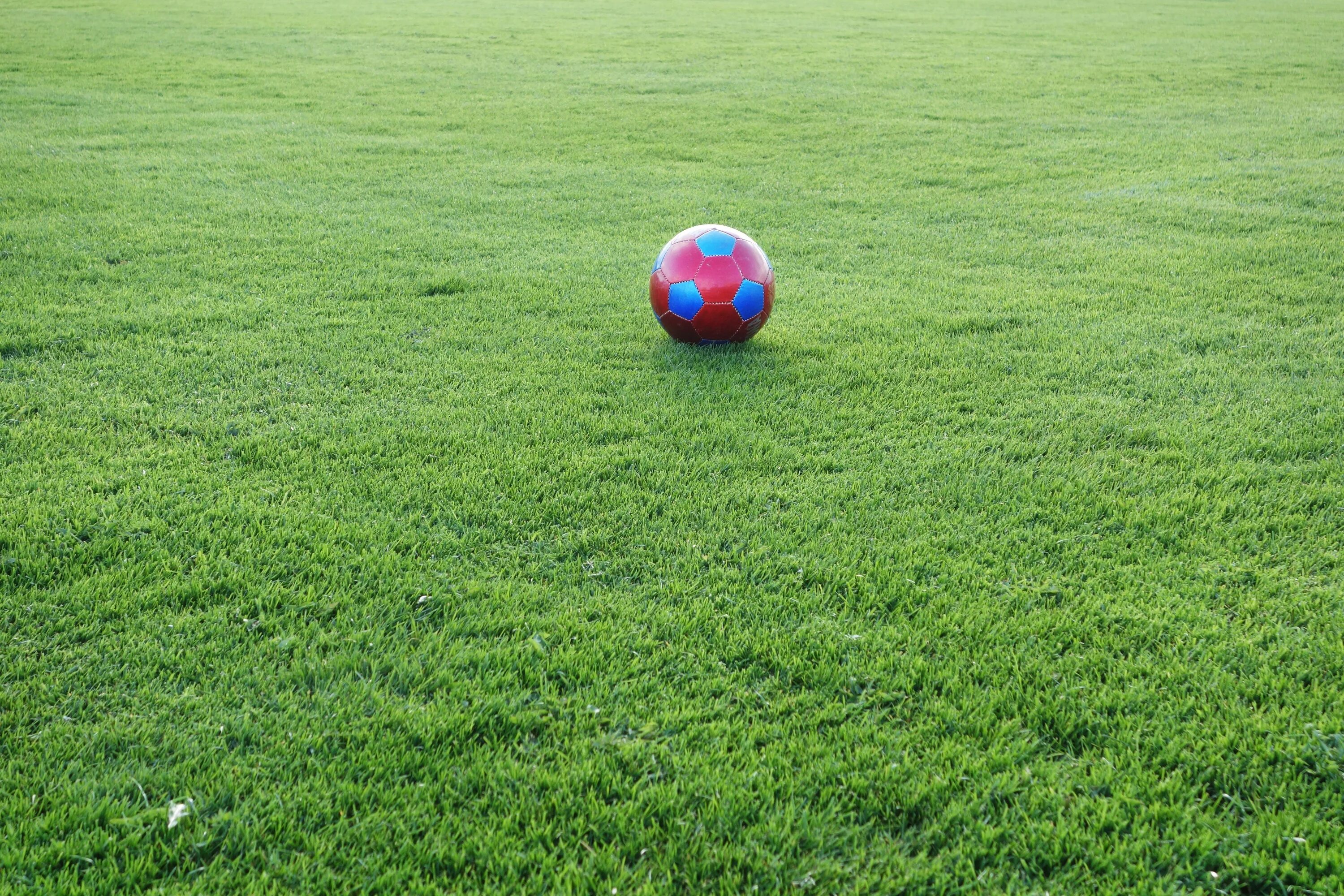 Игра мяч на траве. Футбольный газон. Футбольное поле. Футбольное поле газон. Футбольный мяч на газоне.