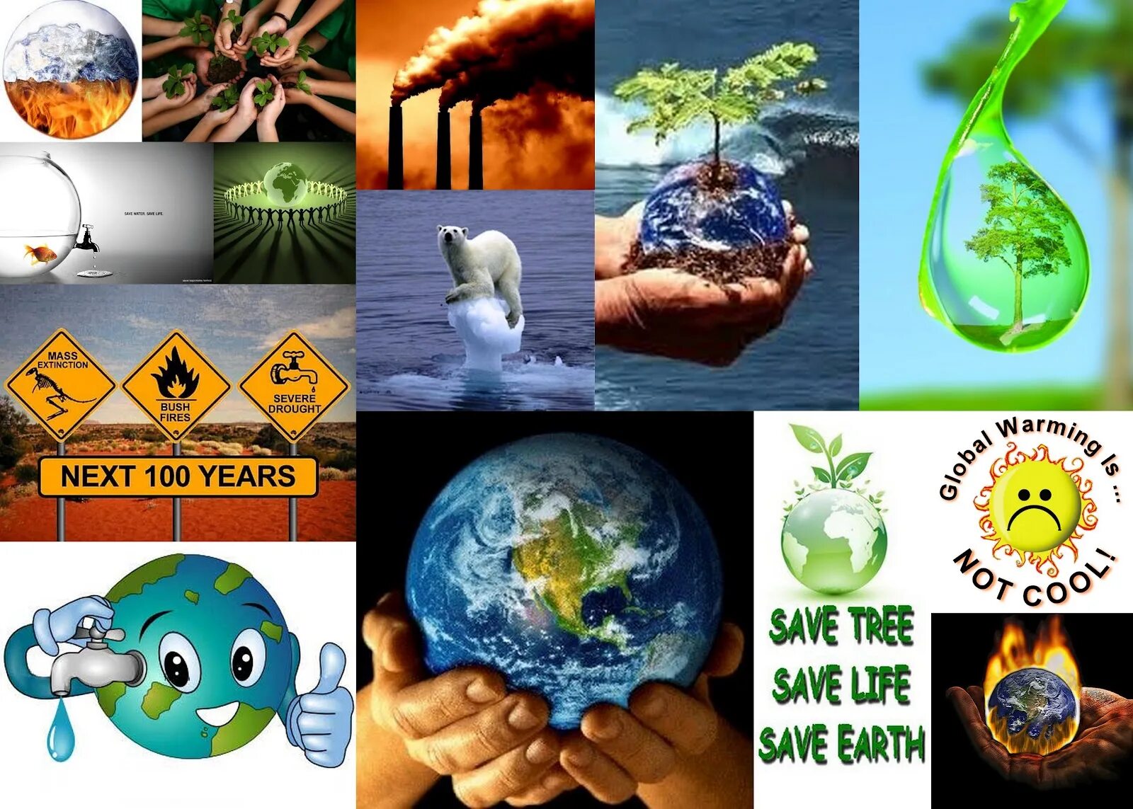 The environment is us. Protect the environment плакат. плакат на тему environment. how to save the earth проект. save the environment тема.