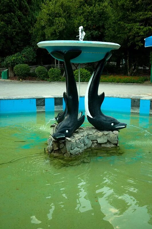 фонтанчик с черным дельфином соль илецк. фонтан три дельфина. фонтанчик с черным дельфином. музыка фонтанчик с дельфином. фонтан дельфинчик.