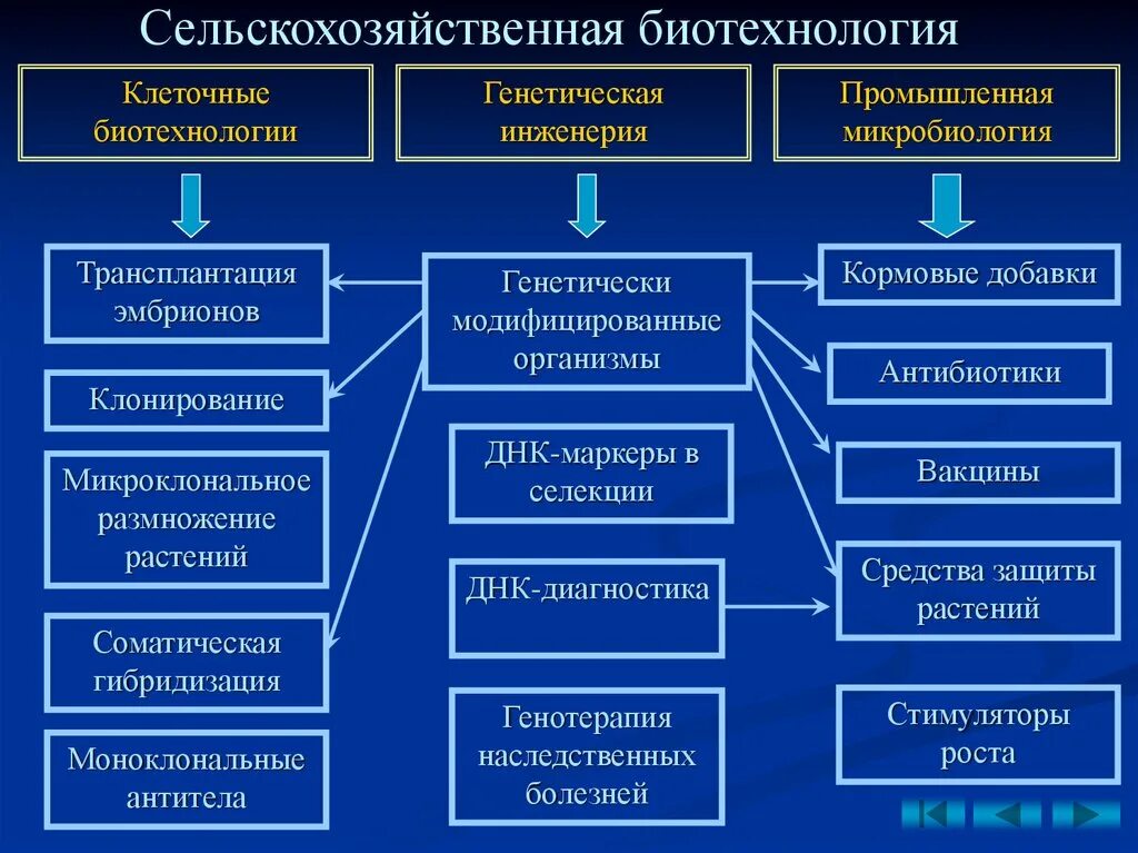 Какие проблемы решает инженерия. Задачи биотехнологии в сельском хозяйстве. Современные методы биотехнологии. Основные направления биотехнологии таблица. Задачи промышленной биотехнологии.