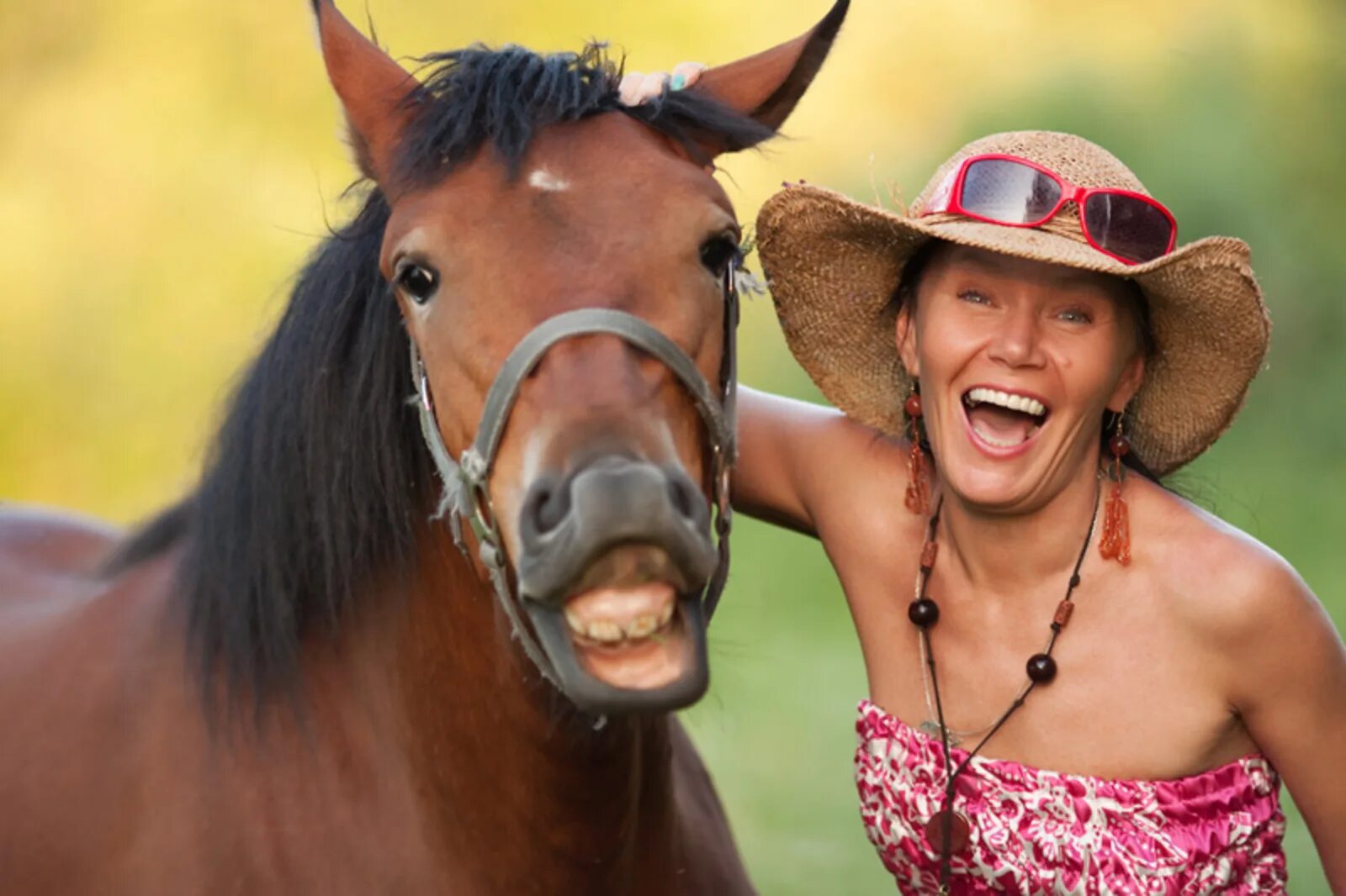 Издавать смех. Лошадиная улыбка. Лошадь ржет. Лошадь улыбается. Лошадиная улыбка у девушек.
