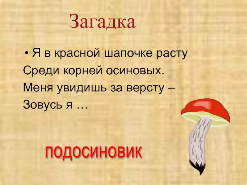 Грибная пора диктант. Я В красной шапочке расту среди корней осиновых. Загадка про подосиновик. Зовусь я подосиновик. Подосиновик среди корней осиновых.