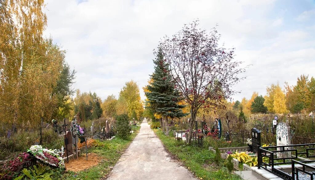 Заборьевское кладбище Домодедово. Заборьевское кладбище Домодедовский район. Кладбище в Заборье Домодедово. Новое кладбище в Домодедово.