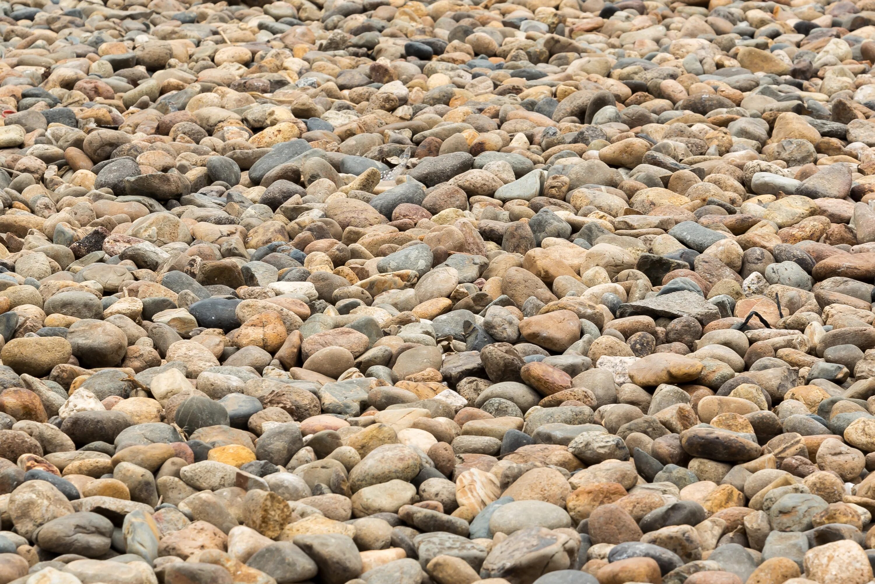 Ground stone. Текстура гальки. Пляж галька. Текстура мелкого камня. Каменный пляж.
