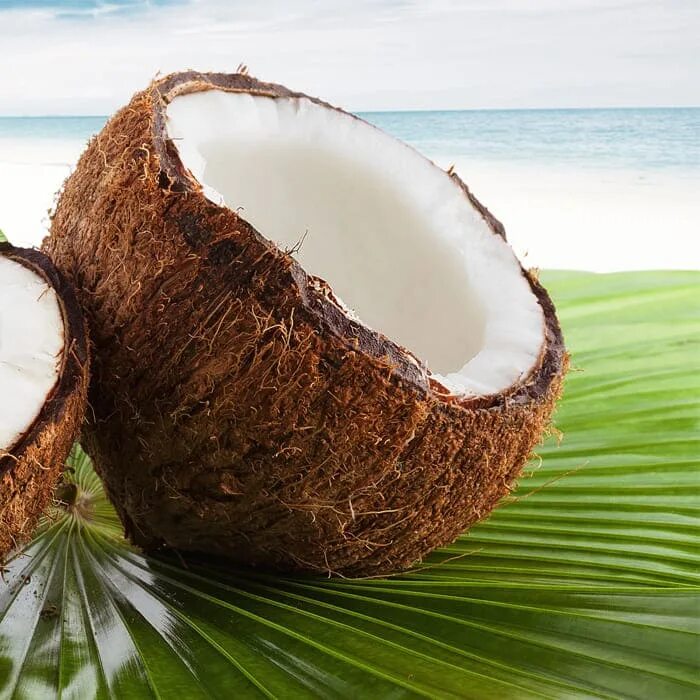 Язык кокос