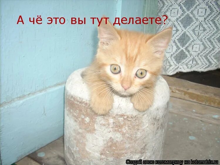 костя иночкин. а че вы тут делаете картинки. а что это вы тут делаете фото. тут сделал. ты что тут делаешь это группа для крутых.