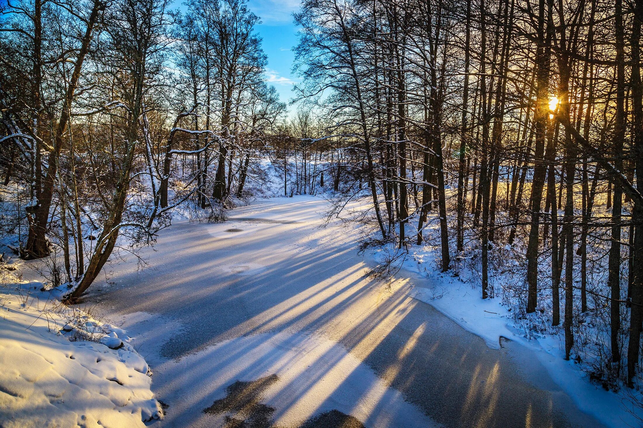 Мартовское солнце утро. Зимняя природа. Тропинка в зимнем лесу. Февраль природа. Конец зимы.