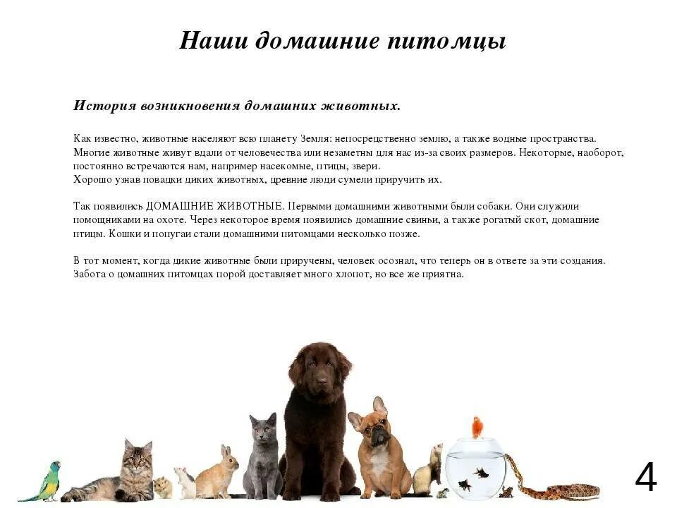 Содержание домашний