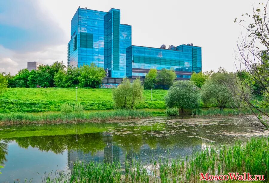 варшавские пруды москва. варшавский чертаново южное. варшавский чертаново южное. второй варшавский пруд. варшавский пруд чертаново.
