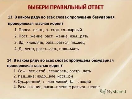 Палисадник безударная гласная в корне