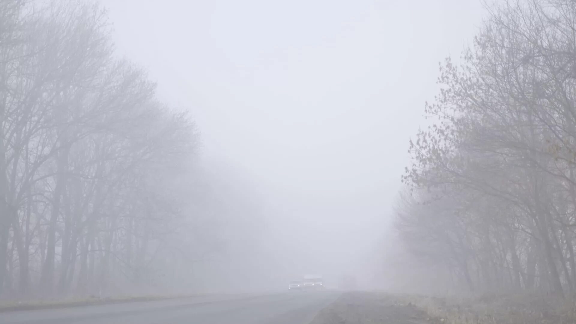 The weather is foggy. Что такое туман для детей. туман мультяшный. туман картинка для детей. foggy рисунок.