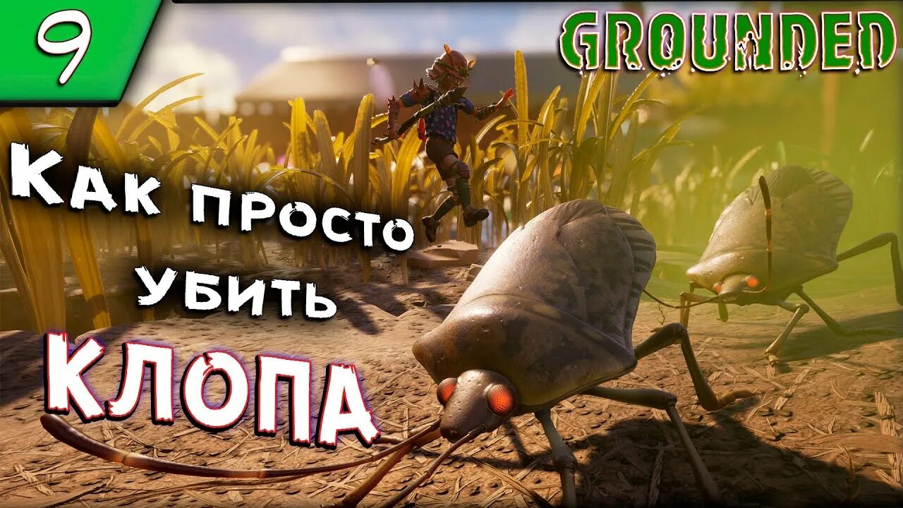 Как убить клопа вонючку. Битва насекомых игра. Жуки из граундеда. Зеленый жук клоп. Жуки из граундеда.