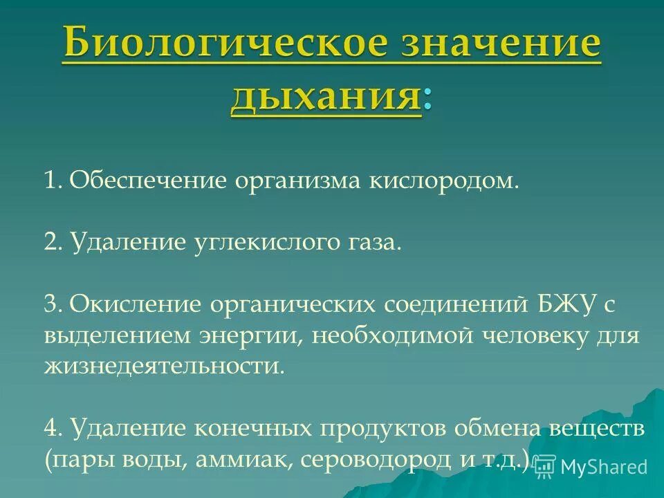 Обеспечение организма кислородом. Организмы которым не нужен кислород для жизнедеятельности. Биологическое значение углекислого газа. Что обеспечивает удаление из организма углекислого газа.