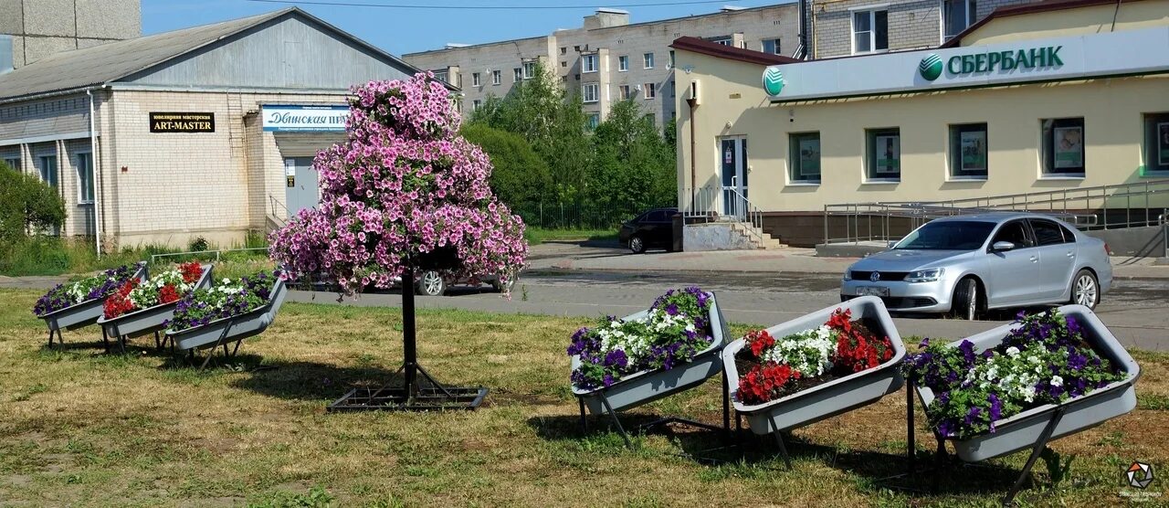 11 лет октября. Котлас улица 70 лет октября. Ул 70 лет октября в Котласе. Котлас 70 лет октября 7. Деревья в Котласе.