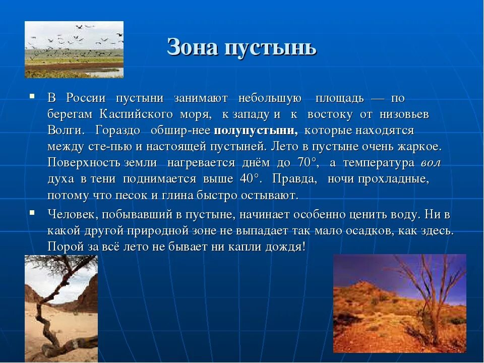 Доклад о природной зоне. Рассказать о зоне пустынь. Презентация на тему природные зоны. Пустыни информация. Различия между степью и тундрой