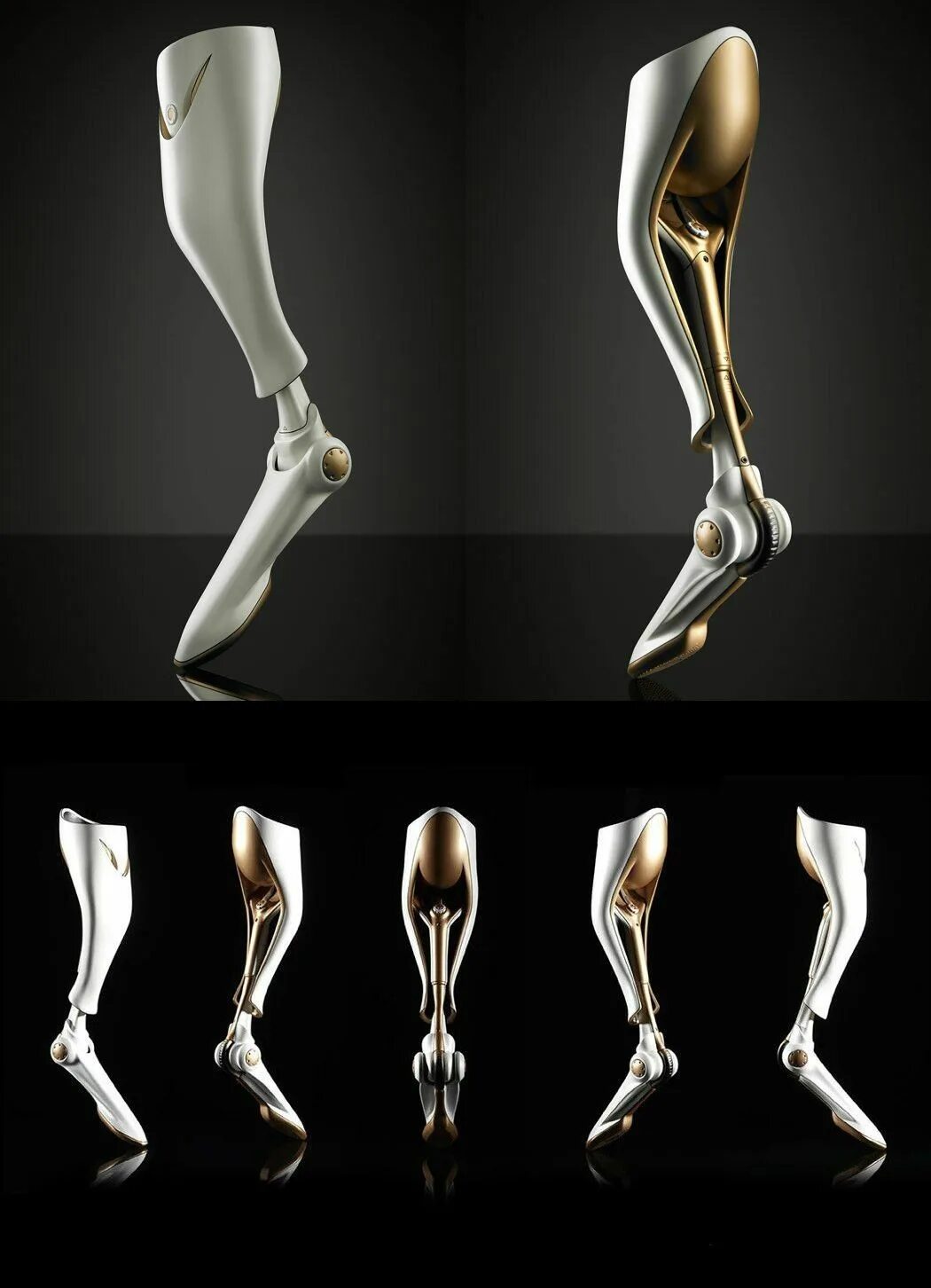 Legs 3d model