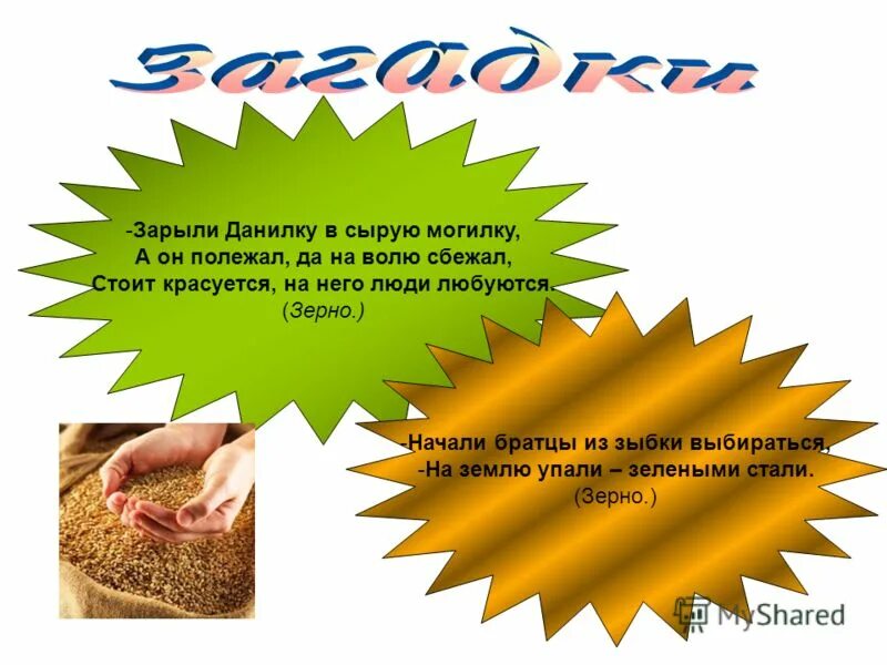 Полынью пахнет хлеб. Полынью пахнет хлеб