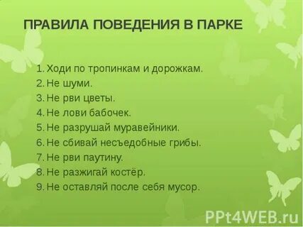 Правила поведения на территории заповедника