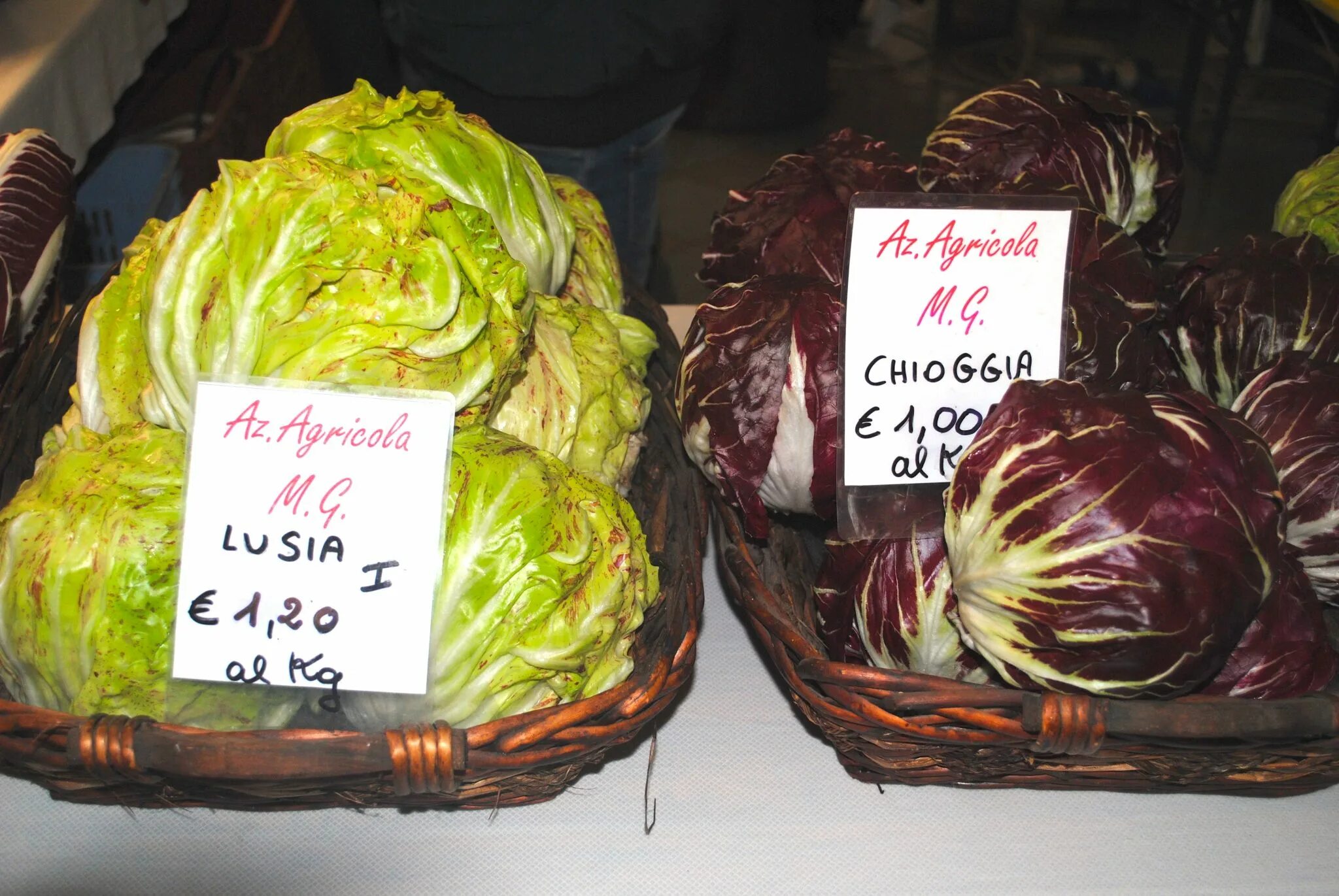 Радичио салат фото как выглядит. Radicchio Lusia and Chioggia Ortensia Blu.