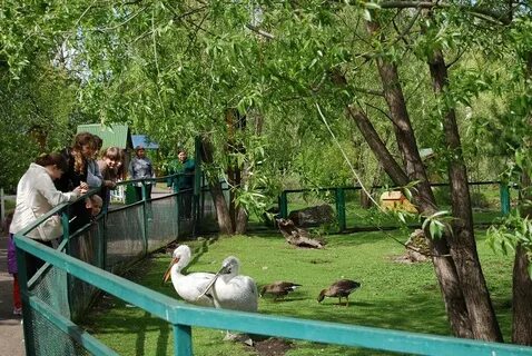 Работа роев ручей красноярск