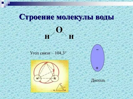 Строение частицы