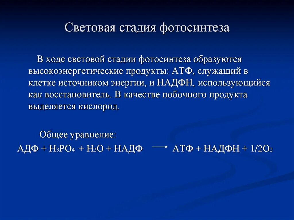 Световая фаза последовательность процессов. Уравнение реакции Темновой фазы фотосинтеза. Этапы процесса фотосинтеза. Уравнение световой фазы фотосинтеза. Суммарное уравнение световой стадии фотосинтеза.