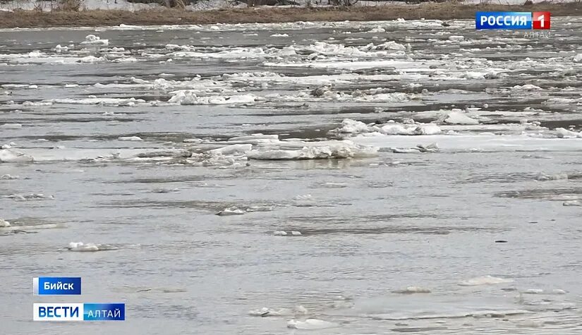 Вода в реке бия. Бийск ледоход на реке Бия. Ледоход в Алтайском крае. Половодье на Алтае 2022. Паводок в Барнауле 2021 год.