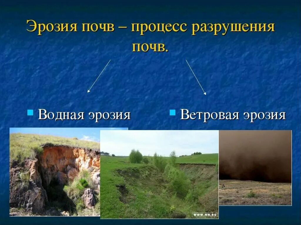 Определите причины возникновения эрозии почв: найдено 89 изображений
