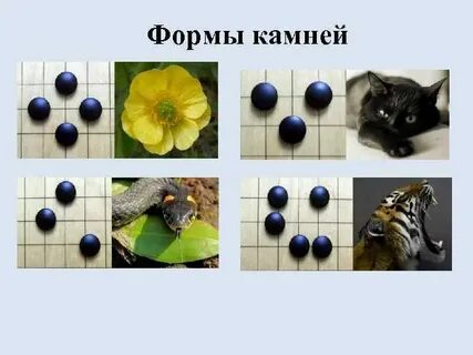 Формы го
