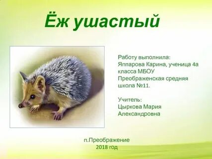 Несть бо тайно еже не явленно будет