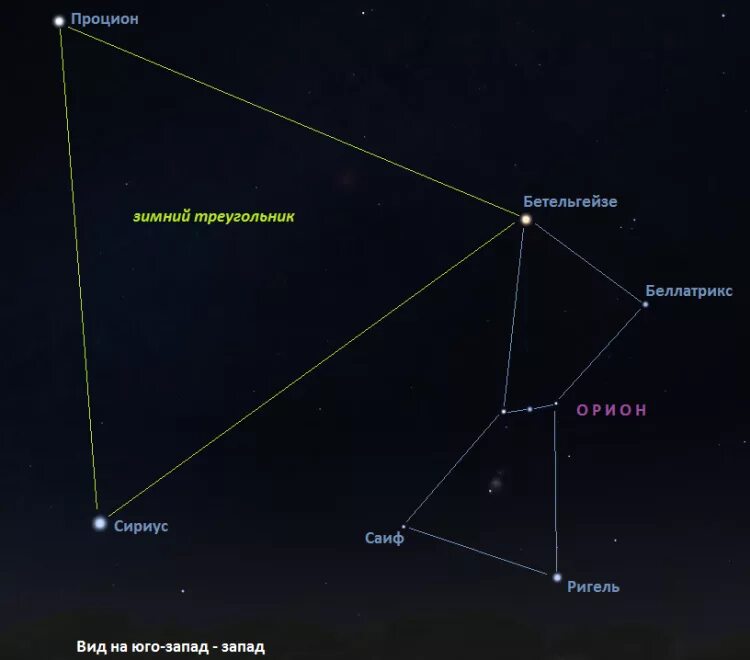 Бетельгейзе Сириус и Процион. Зимний треугольник: Сириус, Процион, Бетельгейзе. Созвездие Орион и Сириус и Процион. Орион Бетельгейзе.