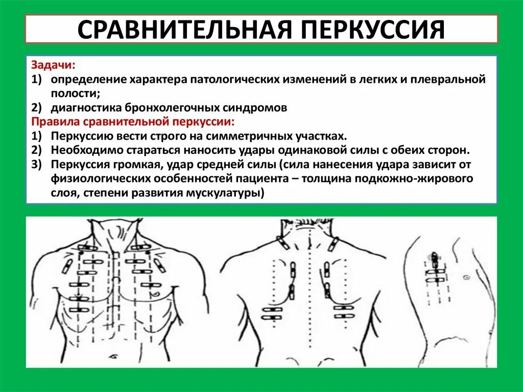 При бронхите выслушивается. Топографическая перкуссия грудной клетки пропедевтика. Задачи сравнительной перкуссии легких. Сравнительная перкуссия грудной клетки алгоритм.