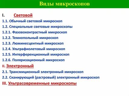 Виды микроскопов и их особенности