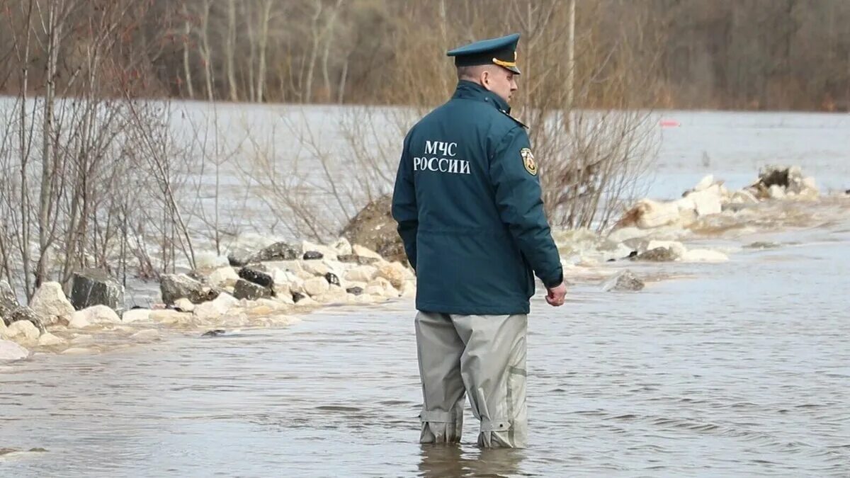 Весенний паводок. Весеннее половодье. Половодье в России. Весенний разлив река Дон.