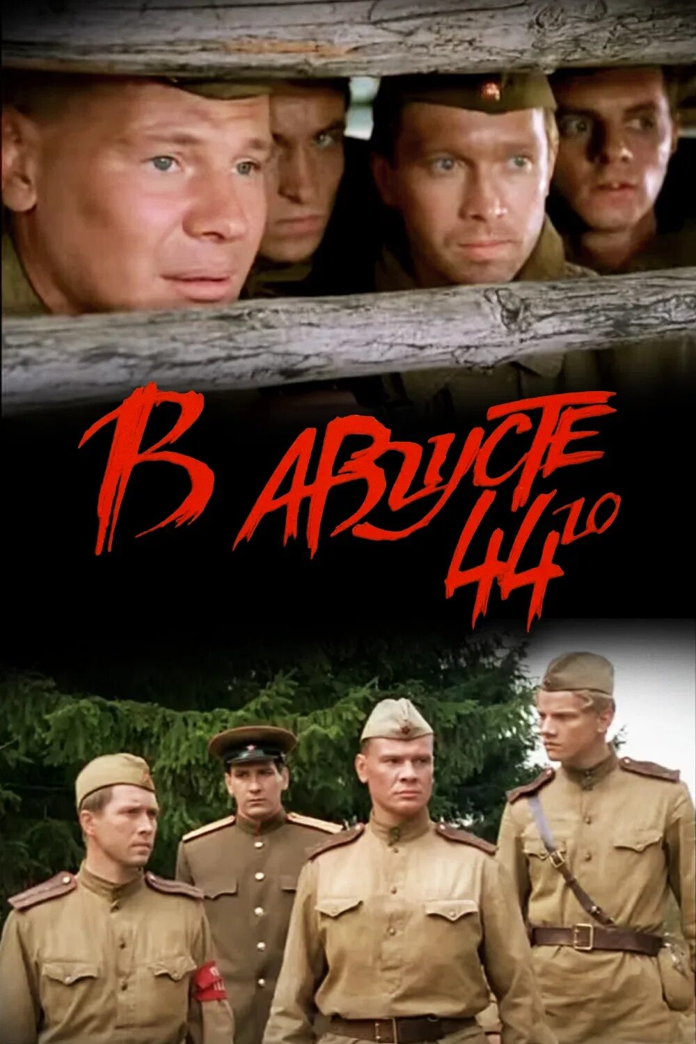 5 августа 44. 5 августа 44