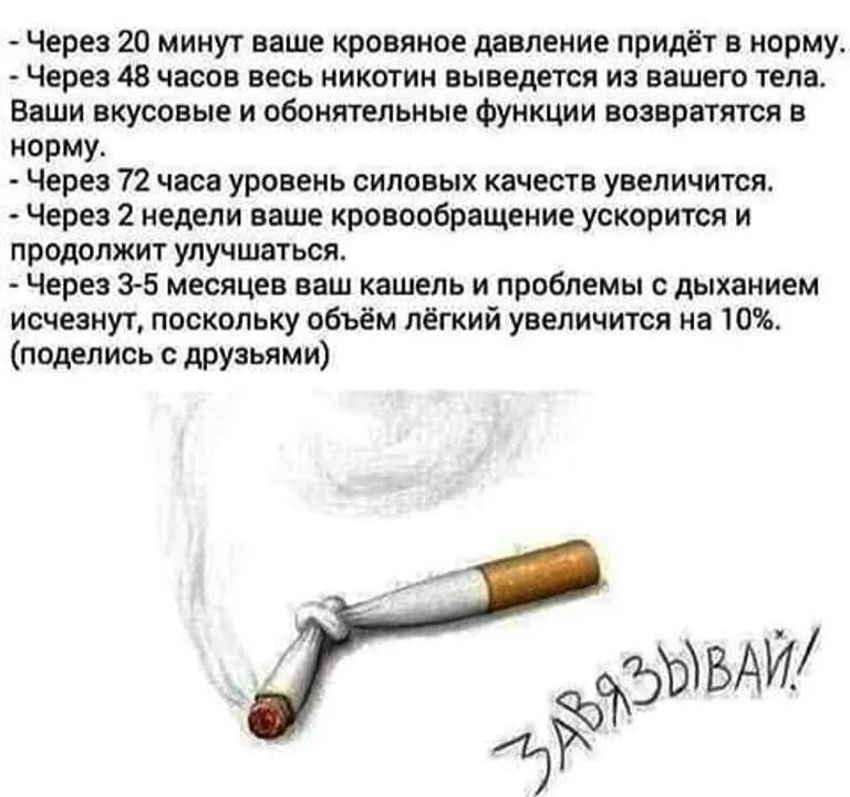 Как отказаться курить. Сиги бросил. Как бросить курить самостоятельно. Что будет когда бросишь курить. Ломает сигарету.