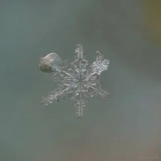 Снежинка запонка