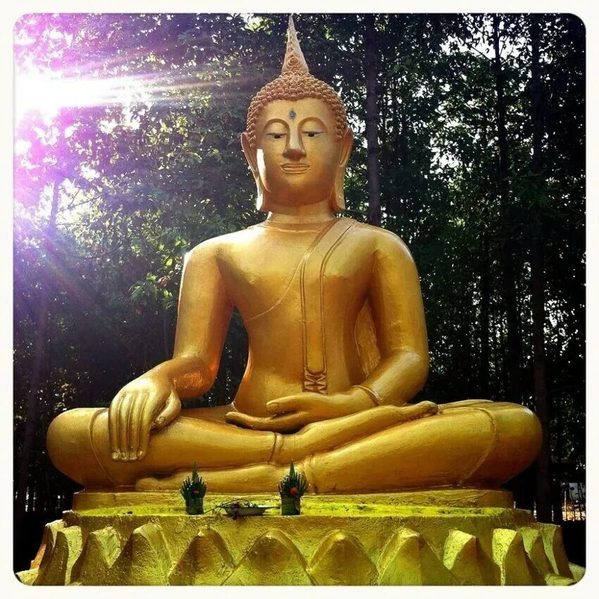 Золотой Будда. Золотая статуя Будды. Будда Тайланд. Будда в золотом Городке. Будду игра