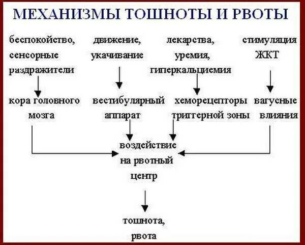 Сильно тошнит причины. Механизм развития рвоты схема. Механизм развития рвоты при инфекции. Постоянное чувство тошноты без рвоты причины. Причины рвоты.