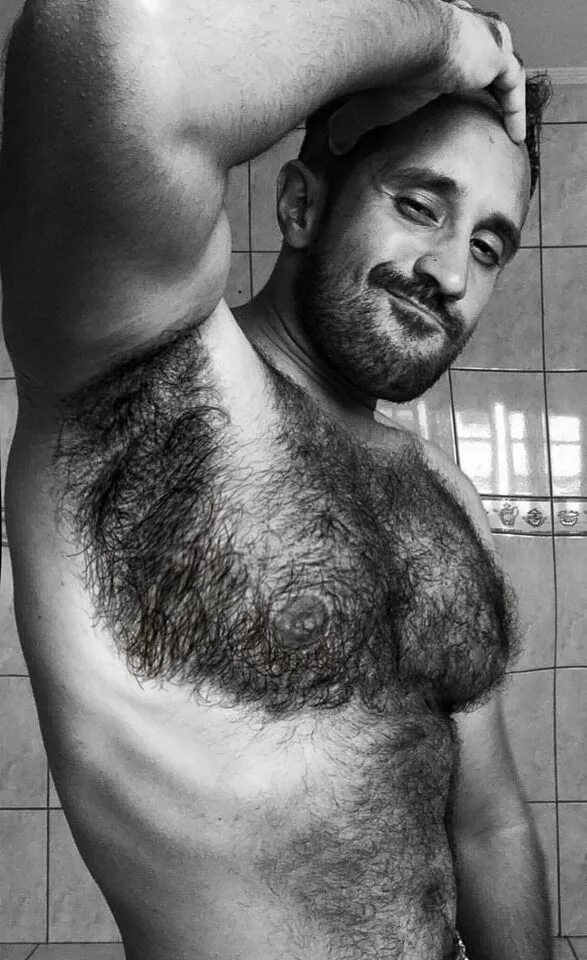 Extremely hairy. Hairy man Arms. Dave Greco portrait. Hairy Greeks.