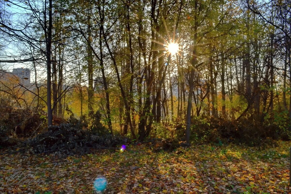 солнечное затмение в 2023 году. солнечный день в октябре. октябрь пейзаж. солнечный октябрь. солнечный октябрь 2023.