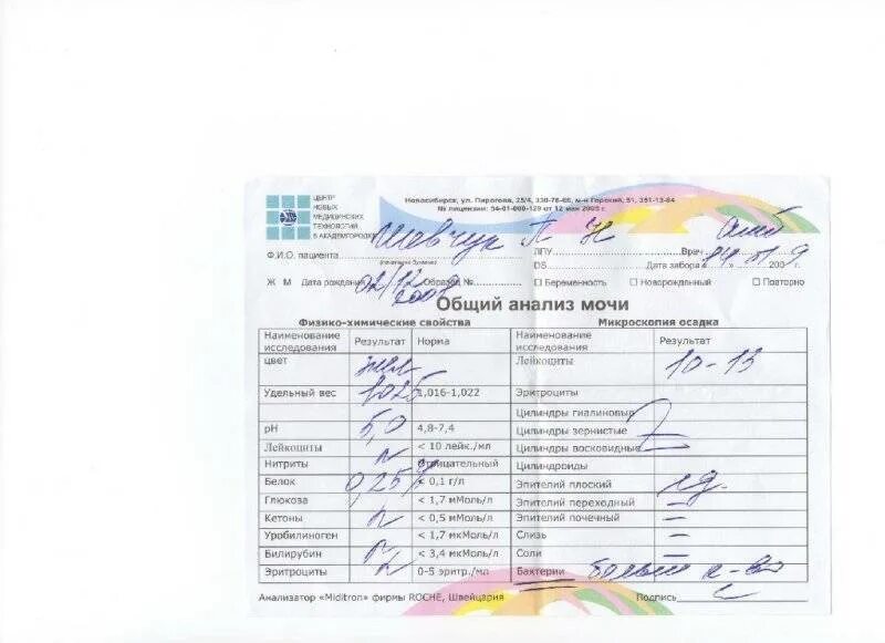 Бактерии в моче у девочки. Бактерии в анализе мочи. общий анализ мочи бактерии. общий анализ мочи с микроскопией. общий анализ мочи с микроскопией осадка.